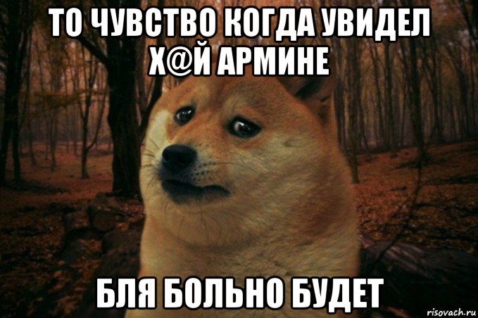 то чувство когда увидел х@й армине бля больно будет, Мем SAD DOGE