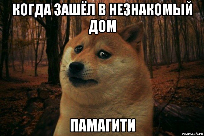 когда зашёл в незнакомый дом памагити, Мем SAD DOGE