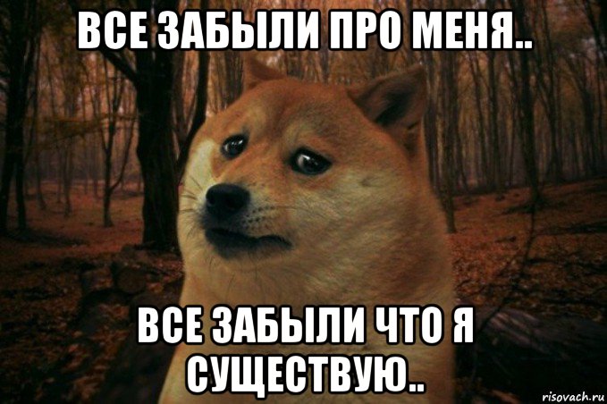 все забыли про меня.. все забыли что я существую.., Мем SAD DOGE