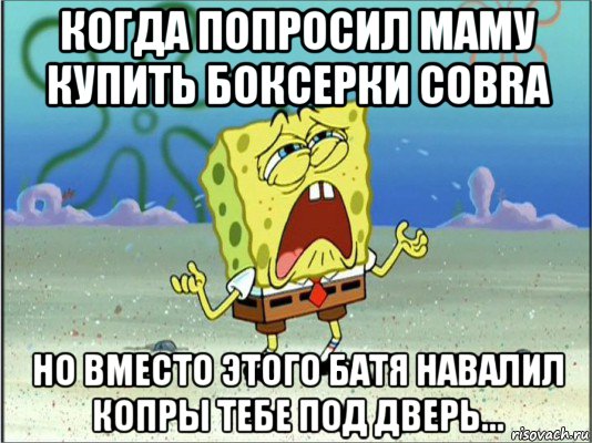 когда попросил маму купить боксерки cobra но вместо этого батя навалил копры тебе под дверь..., Мем Спанч Боб плачет