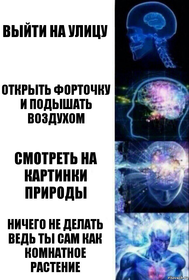 ВЫЙТИ НА УЛИЦУ ОТКРЫТЬ ФОРТОЧКУ И ПОДЫШАТЬ ВОЗДУХОМ СМОТРЕТЬ НА КАРТИНКИ ПРИРОДЫ НИЧЕГО НЕ ДЕЛАТЬ ВЕДЬ ТЫ САМ КАК КОМНАТНОЕ РАСТЕНИЕ, Комикс  Сверхразум