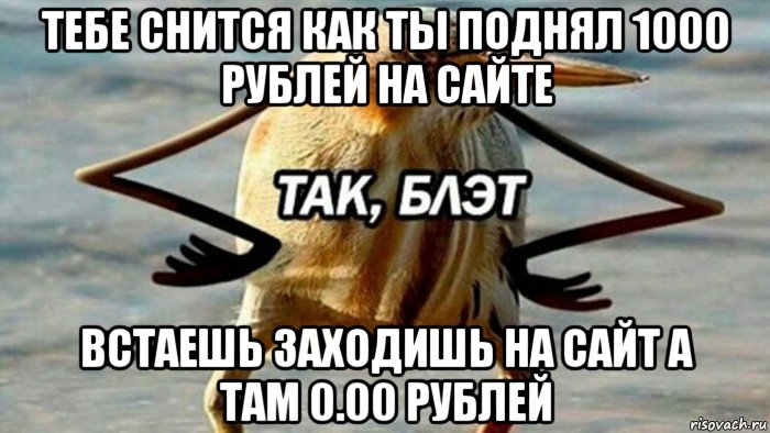 тебе снится как ты поднял 1000 рублей на сайте встаешь заходишь на сайт а там 0.00 рублей, Мем  Так блэт