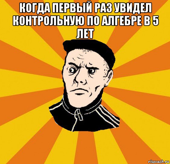 когда первый раз увидел контрольную по алгебре в 5 лет , Мем Типовий Титушка