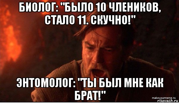 биолог: "было 10 члеников, стало 11. скучно!" энтомолог: "ты был мне как брат!", Мем ты был мне как брат