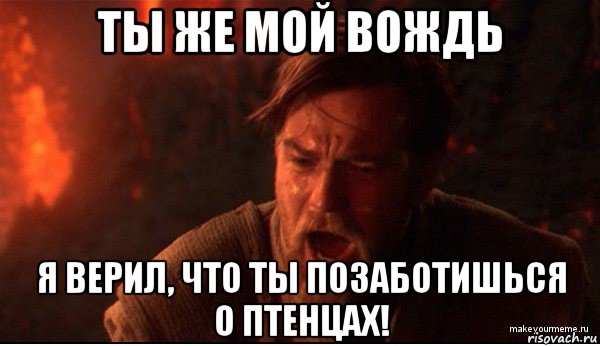 ты же мой вождь я верил, что ты позаботишься о птенцах!, Мем ты был мне как брат