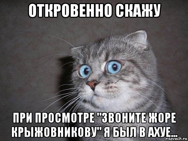 откровенно скажу при просмотре "звоните жоре крыжовникову" я был в ахуе..., Мем  удивлённый кот