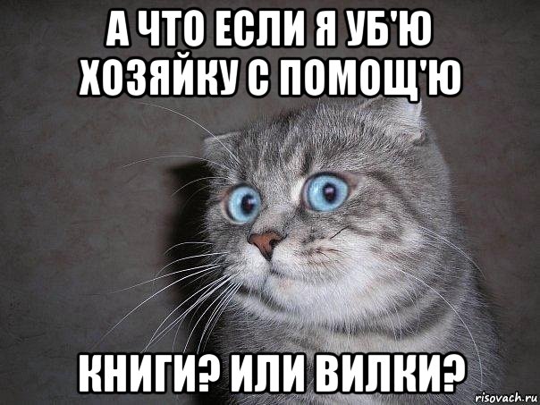 а что если я уб'ю хозяйку с помощ'ю книги? или вилки?, Мем  удивлённый кот