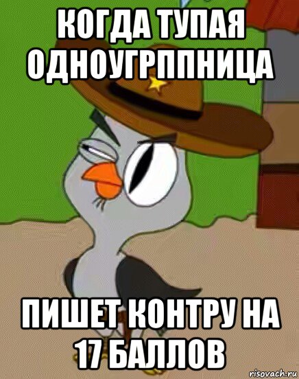 когда тупая одноугрппница пишет контру на 17 баллов, Мем    Упоротая сова