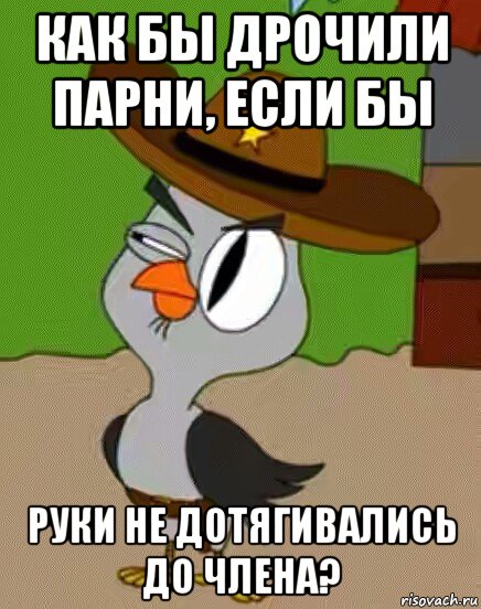 как бы дрочили парни, если бы руки не дотягивались до члена?, Мем    Упоротая сова