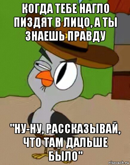 когда тебе нагло пиздят в лицо, а ты знаешь правду "ну-ну, рассказывай, что там дальше было", Мем    Упоротая сова