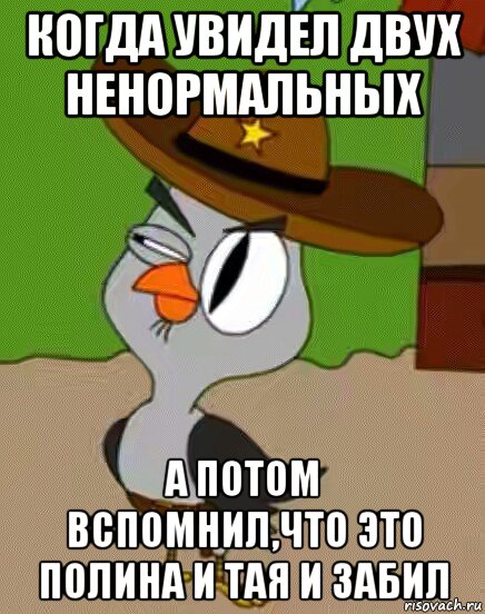 когда увидел двух ненормальных а потом вспомнил,что это полина и тая и забил, Мем    Упоротая сова