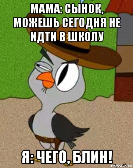 мама: сынок, можешь сегодня не идти в школу я: чего, блин!, Мем    Упоротая сова