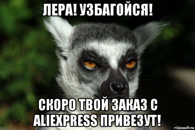 лера! узбагойся! скоро твой заказ с aliexpress привезут!, Мем   Я збагоен