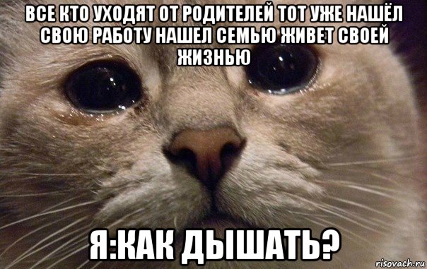 все кто уходят от родителей тот уже нашёл свою работу нашел семью живет своей жизнью я:как дышать?, Мем   В мире грустит один котик