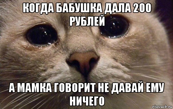 когда бабушка дала 200 рублей а мамка говорит не давай ему ничего, Мем   В мире грустит один котик
