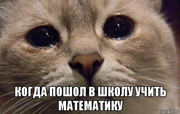  когда пошол в школу учить математику, Мем   В мире грустит один котик