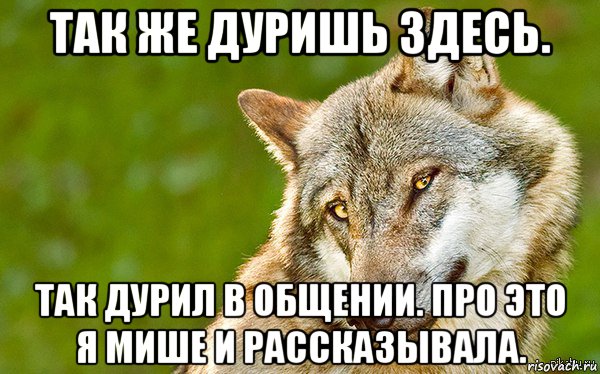 так же дуришь здесь. так дурил в общении. про это я мише и рассказывала.