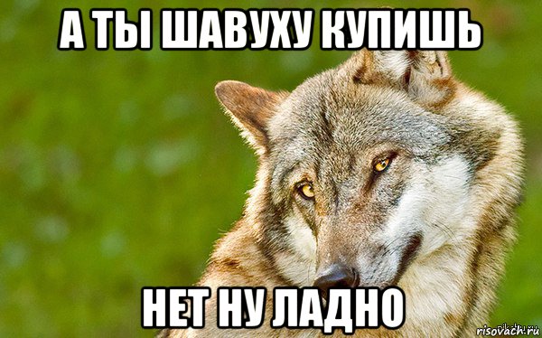 а ты шавуху купишь нет ну ладно, Мем   Volf