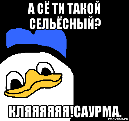 а сё ти такой сельёсный? кляяяяяя!саурма.