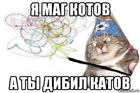 я маг котов а ты дибил катов