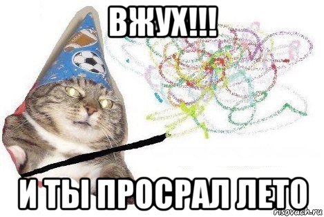 вжух!!! и ты просрал лето, Мем Вжух