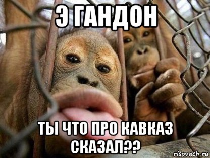 э гандон ты что про кавказ сказал??