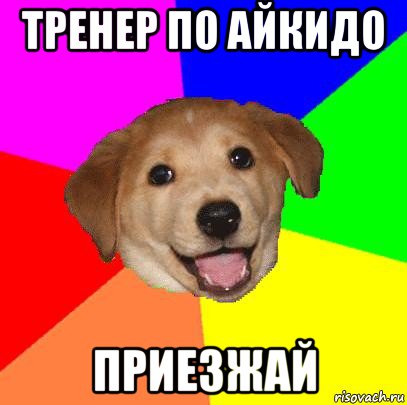 тренер по айкидо приезжай, Мем Advice Dog