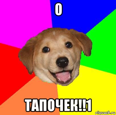 о тапочек!!1, Мем Advice Dog