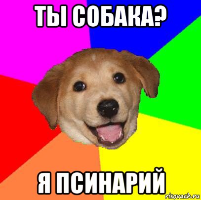 ты собака? я псинарий, Мем Advice Dog