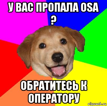 у вас пропала osa ? обратитесь к оператору, Мем Advice Dog