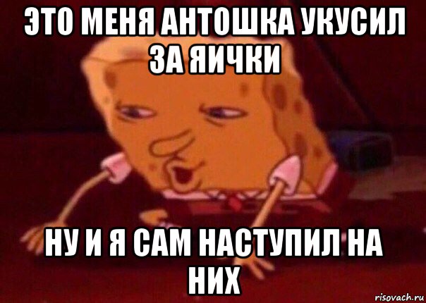 это меня антошка укусил за яички ну и я сам наступил на них, Мем    Bettingmemes