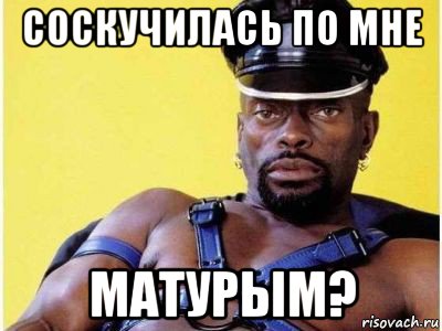 соскучилась по мне матурым?