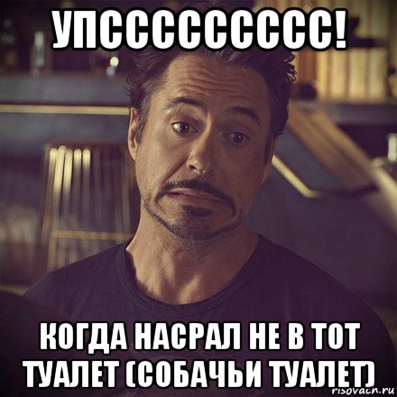 упссссссссс! когда насрал не в тот туалет (собачьи туалет)