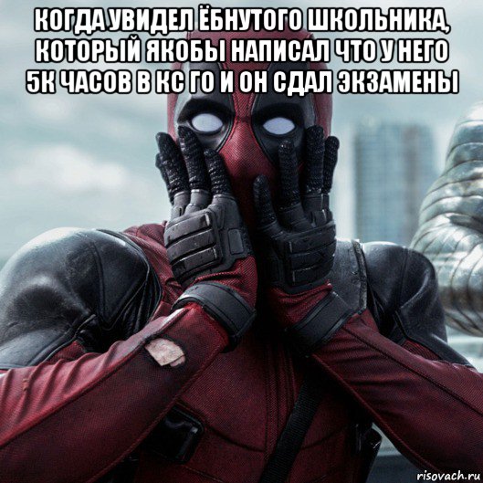 когда увидел ёбнутого школьника, который якобы написал что у него 5к часов в кс го и он сдал экзамены , Мем     Дэдпул