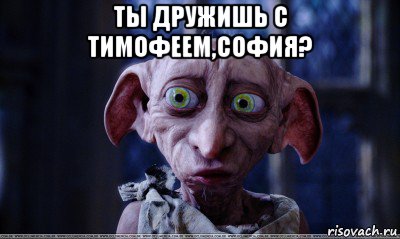 ты дружишь с тимофеем,софия? , Мем   Добби удивлен