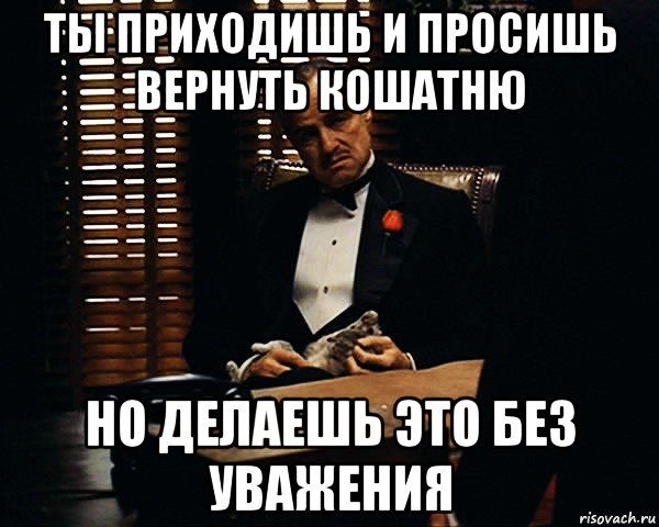 ты приходишь и просишь вернуть кошатню но делаешь это без уважения, Мем Дон Вито Корлеоне