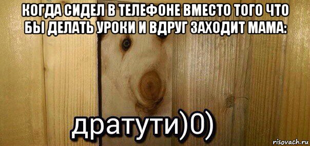 когда сидел в телефоне вместо того что бы делать уроки и вдруг заходит мама: 