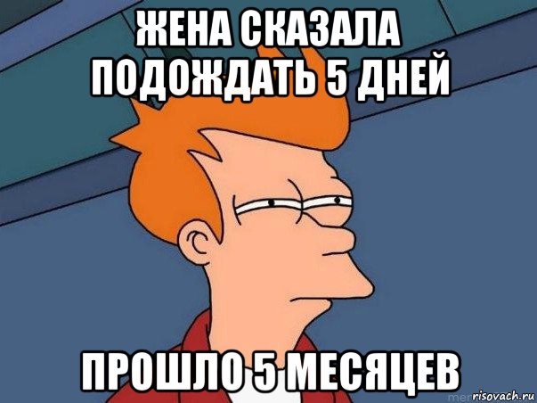 жена сказала подождать 5 дней прошло 5 месяцев, Мем  Фрай (мне кажется или)