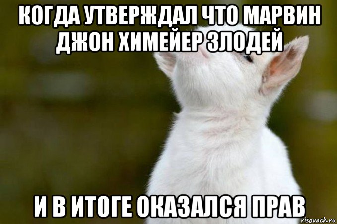 когда утверждал что марвин джон химейер злодей и в итоге оказался прав, Мем  Гордый козленок