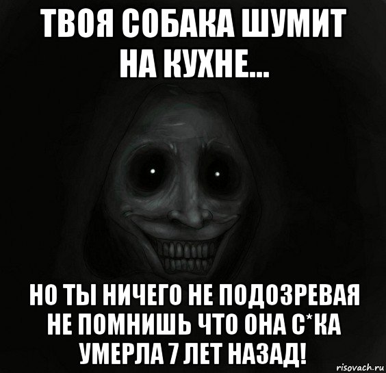 твоя собака шумит на кухне... но ты ничего не подозревая не помнишь что она с*ка умерла 7 лет назад!, Мем Ночной гость