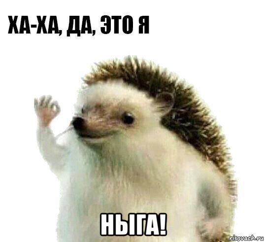  ныга!