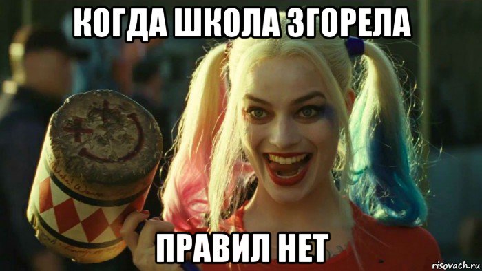 когда школа згорела правил нет, Мем    Harley quinn