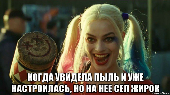  когда увидела пыль и уже настроилась, но на нее сел жирок, Мем    Harley quinn