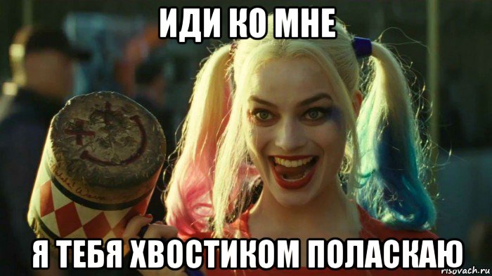 иди ко мне я тебя хвостиком поласкаю, Мем    Harley quinn