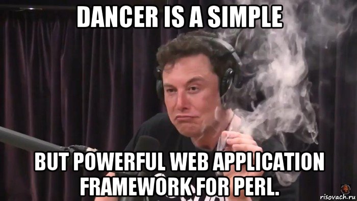 dancer is a simple but powerful web application framework for perl., Мем Илон Маск