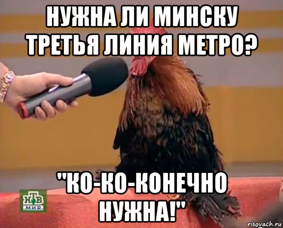 нужна ли минску третья линия метро? "ко-ко-конечно нужна!", Мем Интервью с петухом