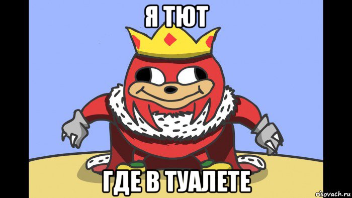 я тют где в туалете