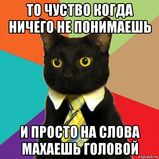 то чуство когда ничего не понимаешь и просто на слова махаешь головой, Мем  Кошечка