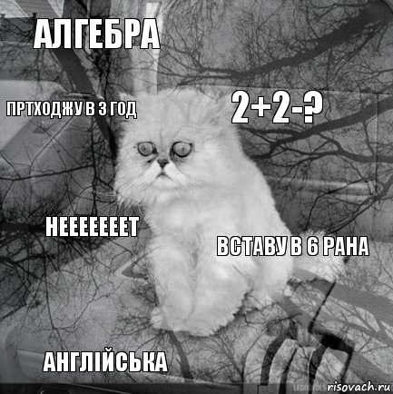 Алгебра Вставу в 6 рана 2+2-? Англійська Нееееееет   Пртходжу в 3 год  , Комикс  кот безысходность