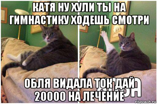 катя ну хули ты на гимнастику ходешь смотри обля видала ток дай 20000 на лечение, Комикс Кот Хоба